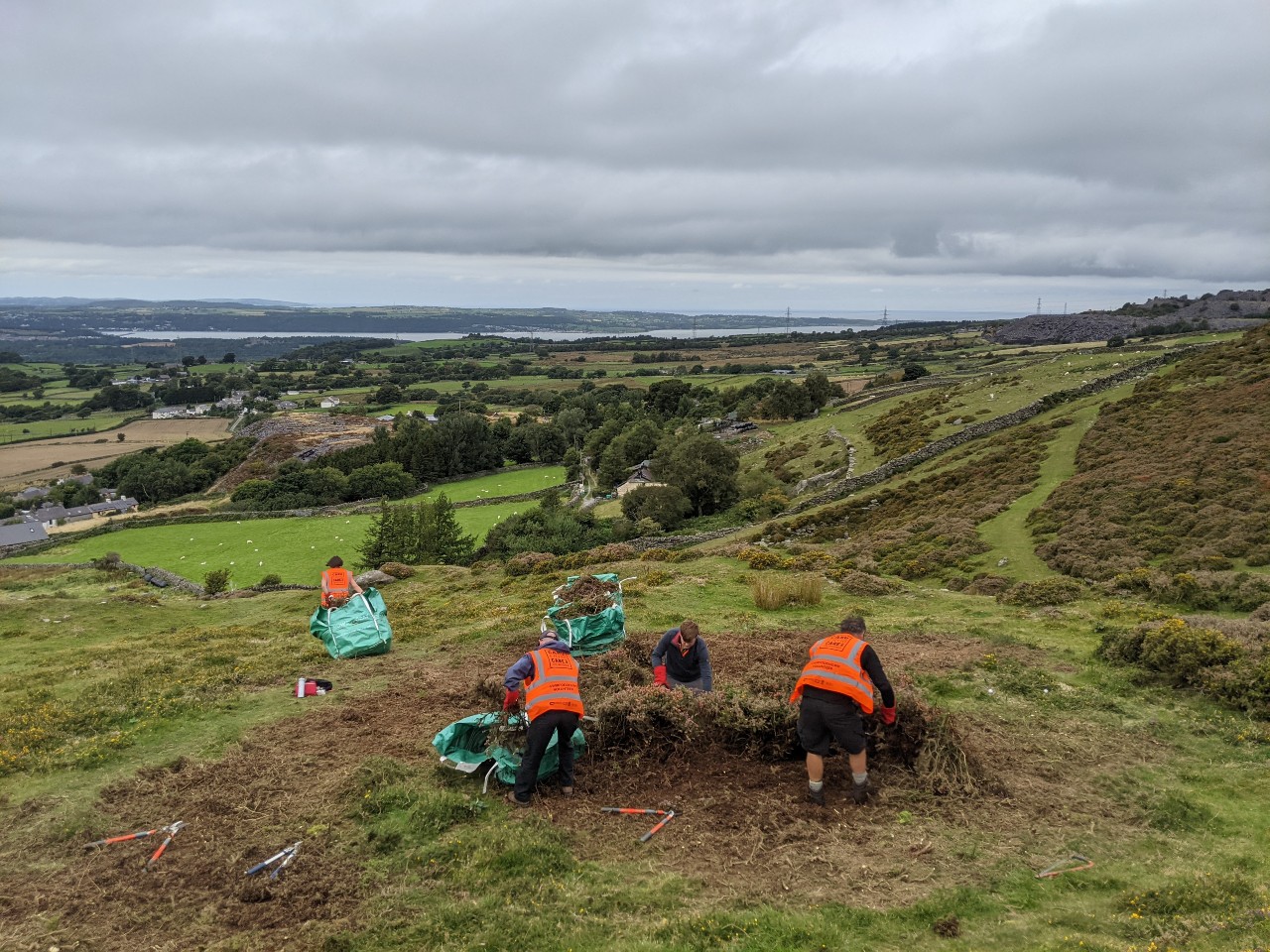 Gorse clearing from Archaeological monuments at Moel Faban
