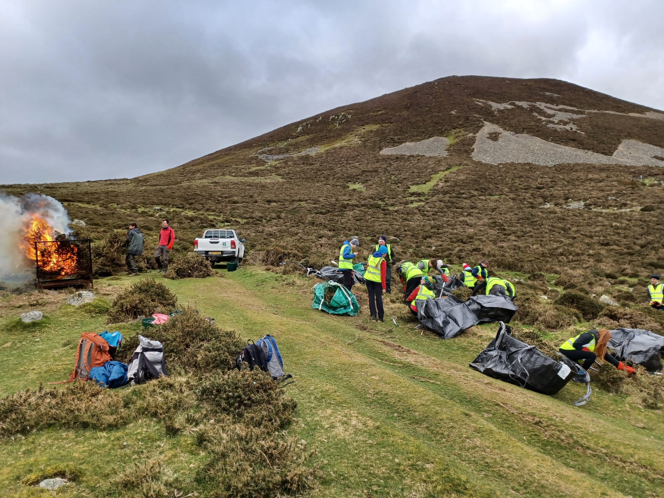 Volunteer: Gorse Clearance