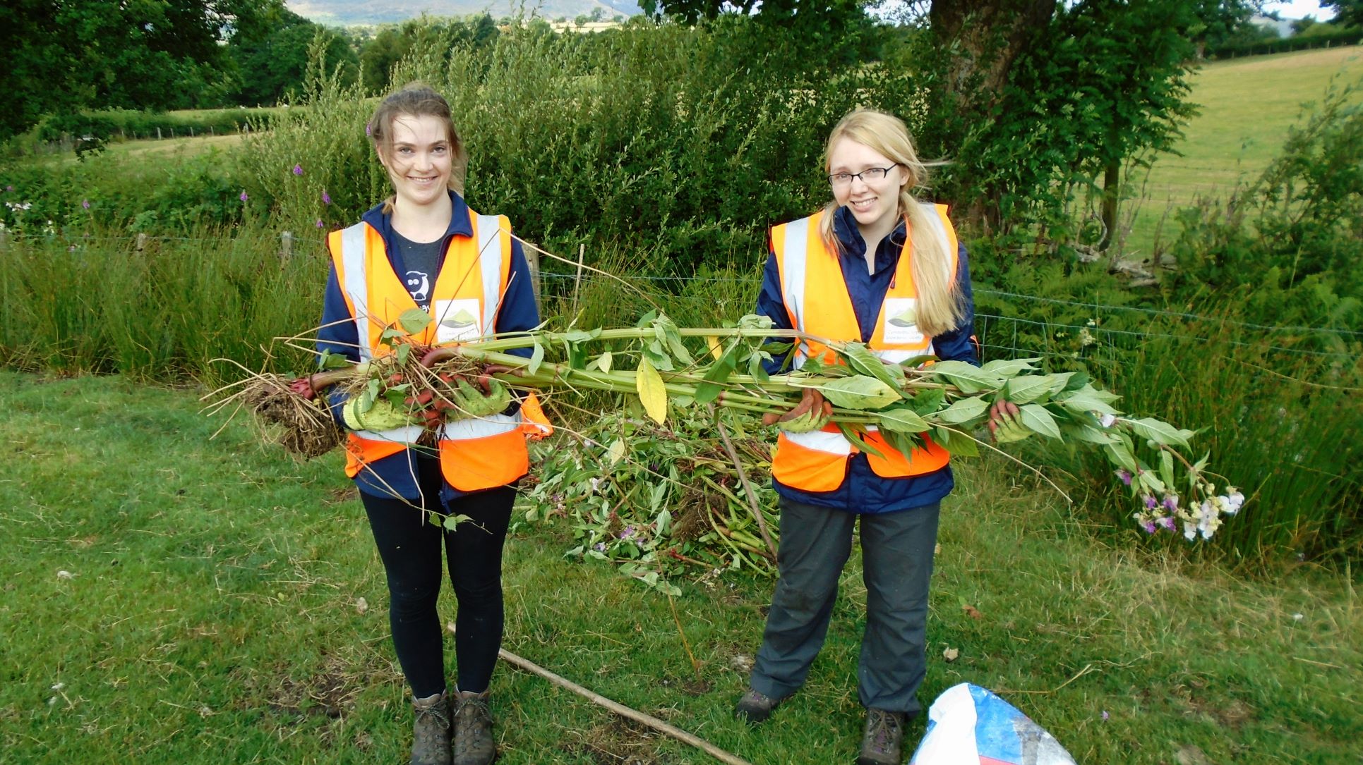 Volunteers during Himalayan Balsam clearing session in Bethesda