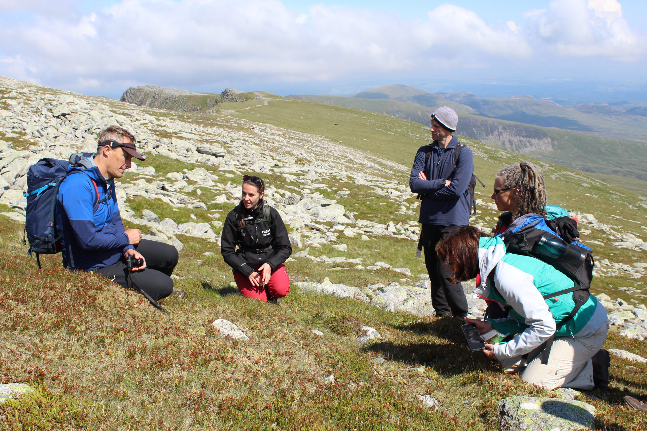 group of people looking at Montane Heath on the slopes of the Carnedd Dafydd