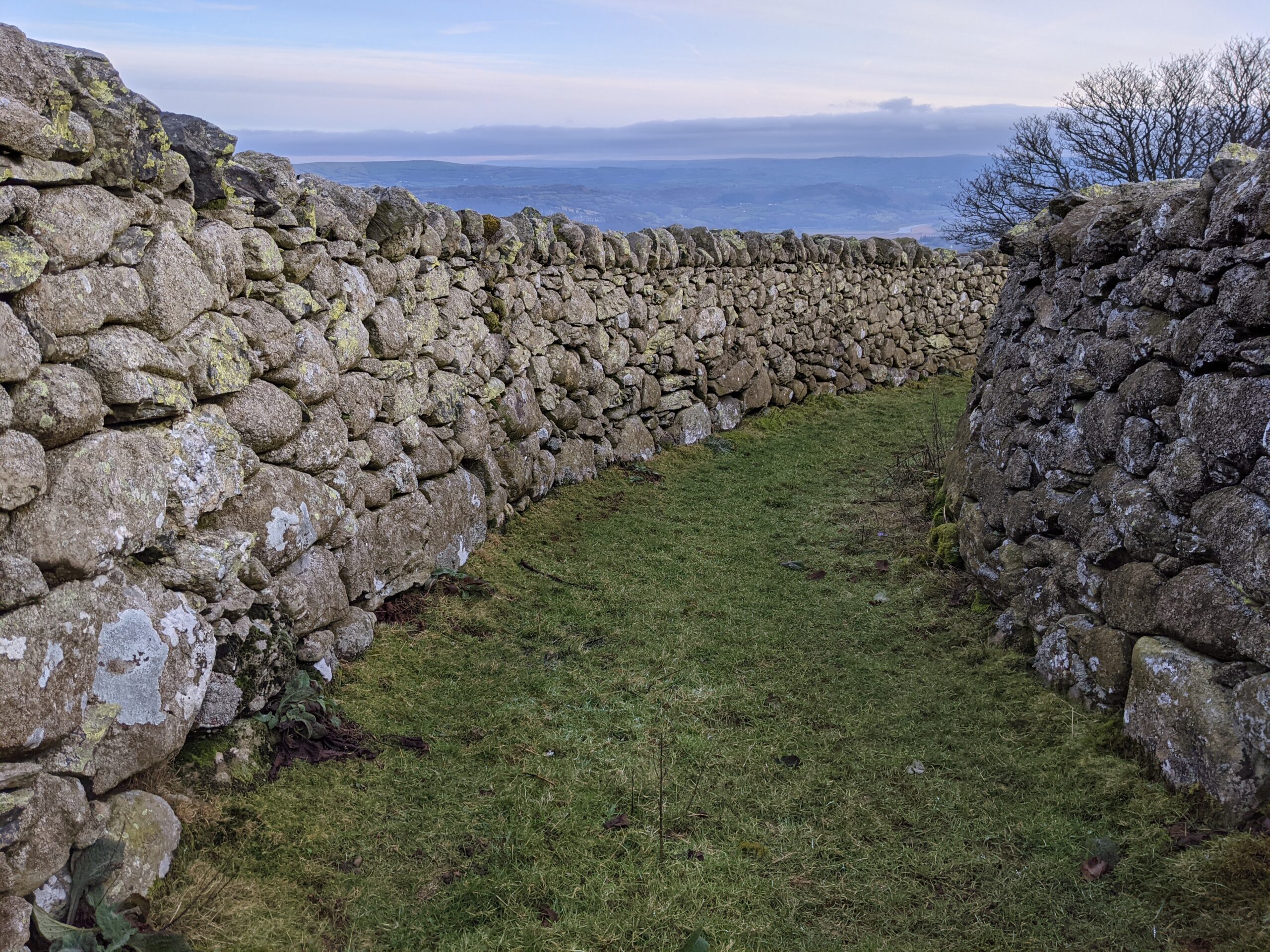 Dry Stone Wales near Maen Y Bardd