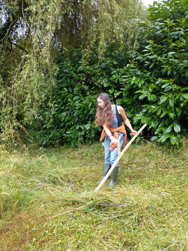 Apprentice undertaking traditional hay meadow cutting, Summer 2021